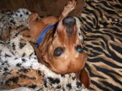 24153_422630216958_3628000_n