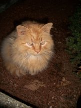 25563_423706641958_2745965_n