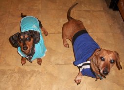 55938_10150102636931959_7433501_o