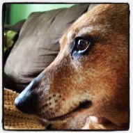 733891_10151796851461959_1995683790_n