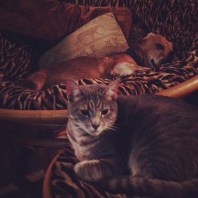 936516_10151867582221959_1621721390_n