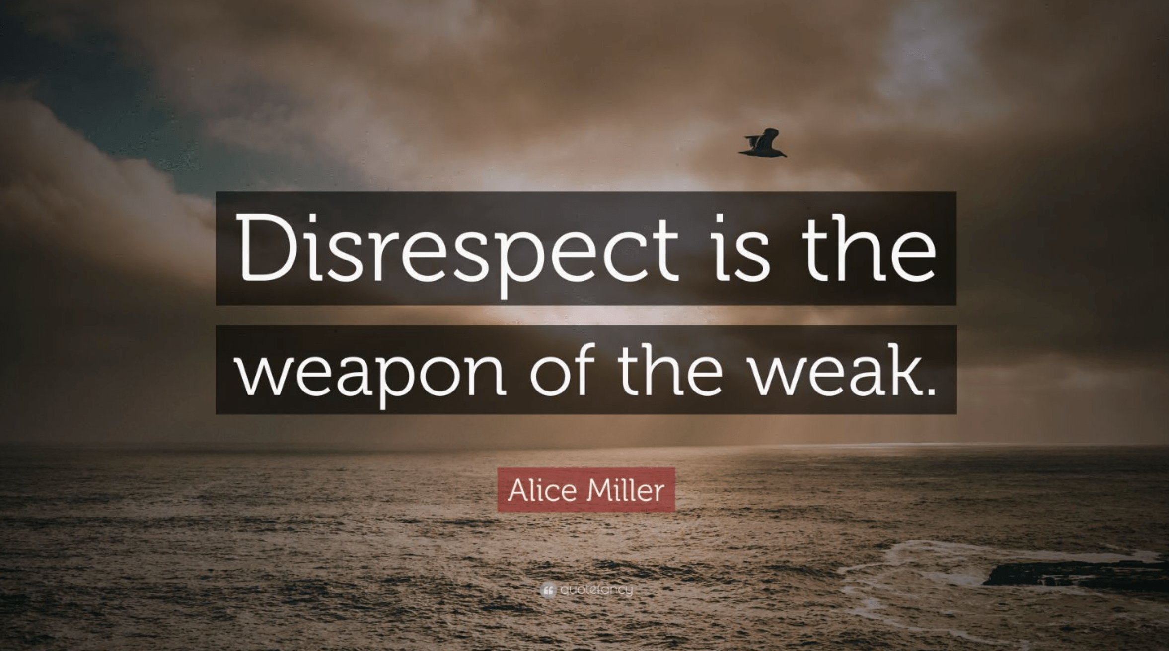 Screen Shot 2017-10-16 at 9.37.53 PM.png